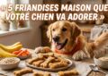 Friandises pour chien maison : 5 recettes faciles à faire Friandises pour chien maison : 5 recettes faciles